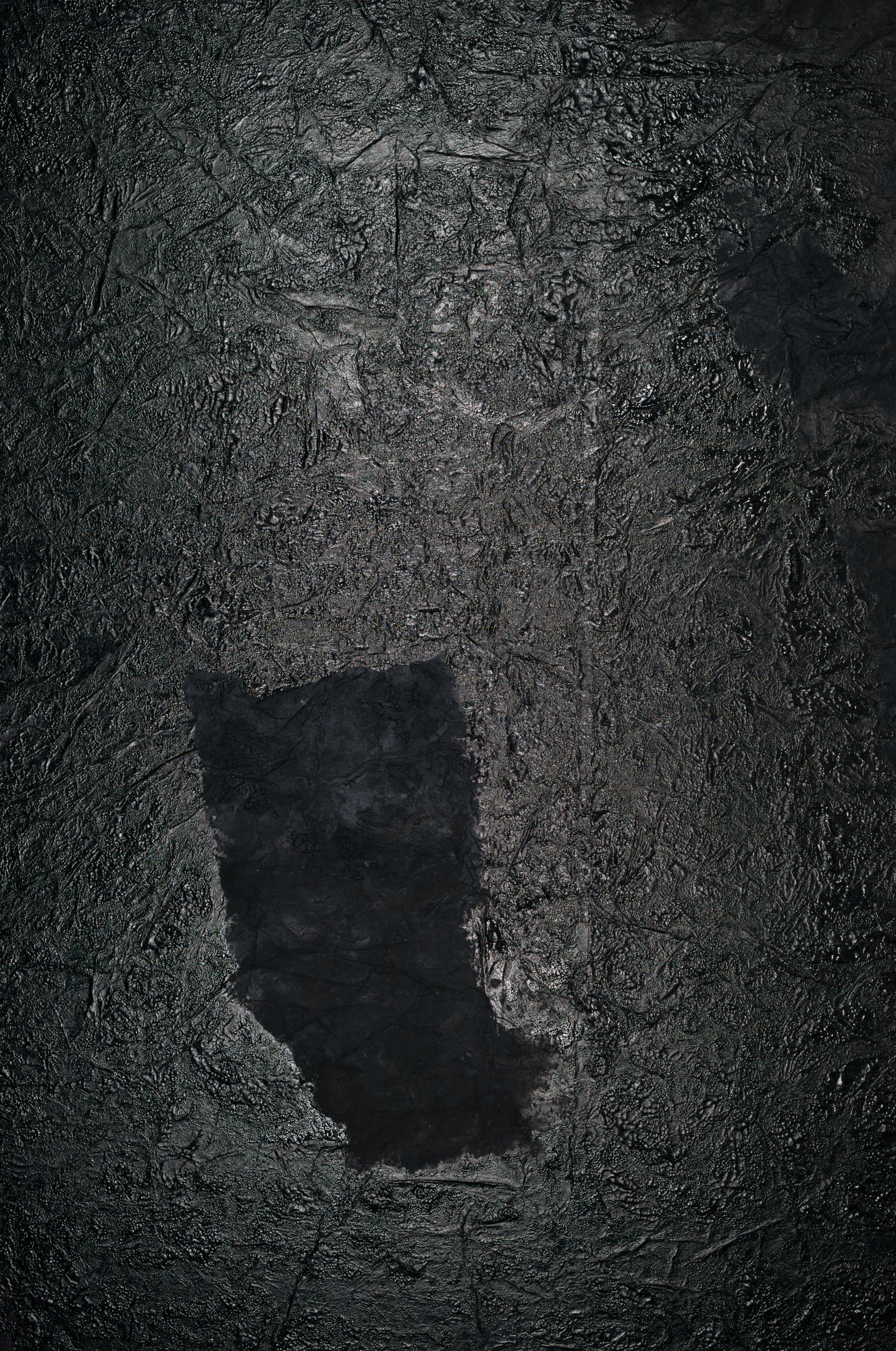 Earth Roots: Yang Jiechang Paintings, 1985-1999 地脉：杨诘苍绘画 1985-1999